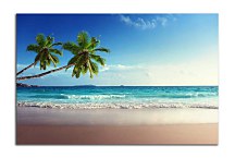 Obraz Tropická pláž zs24878